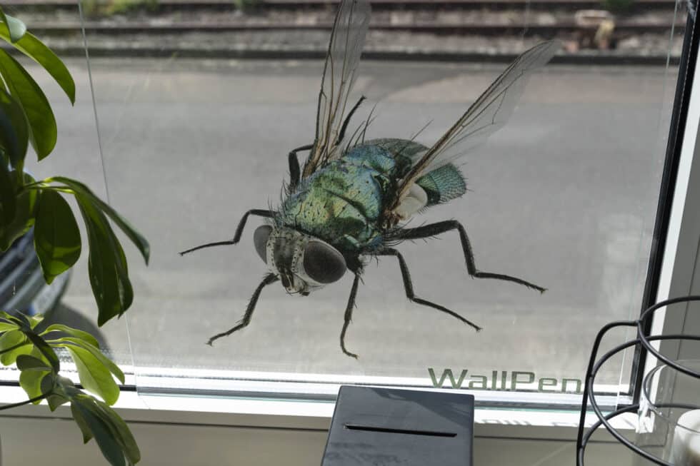 impression sur verre